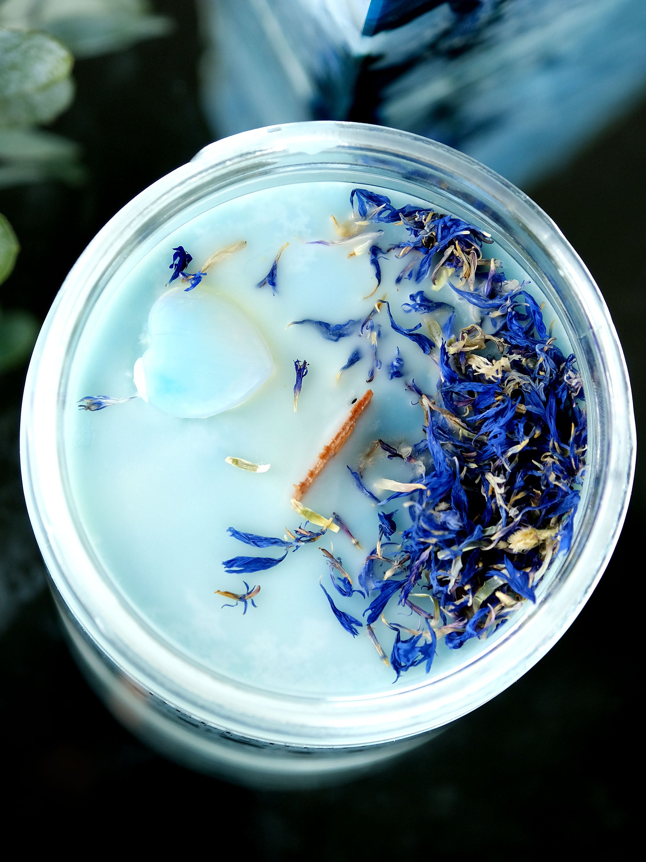 Blue Moon Wooden Wick Soy Lotion Candle