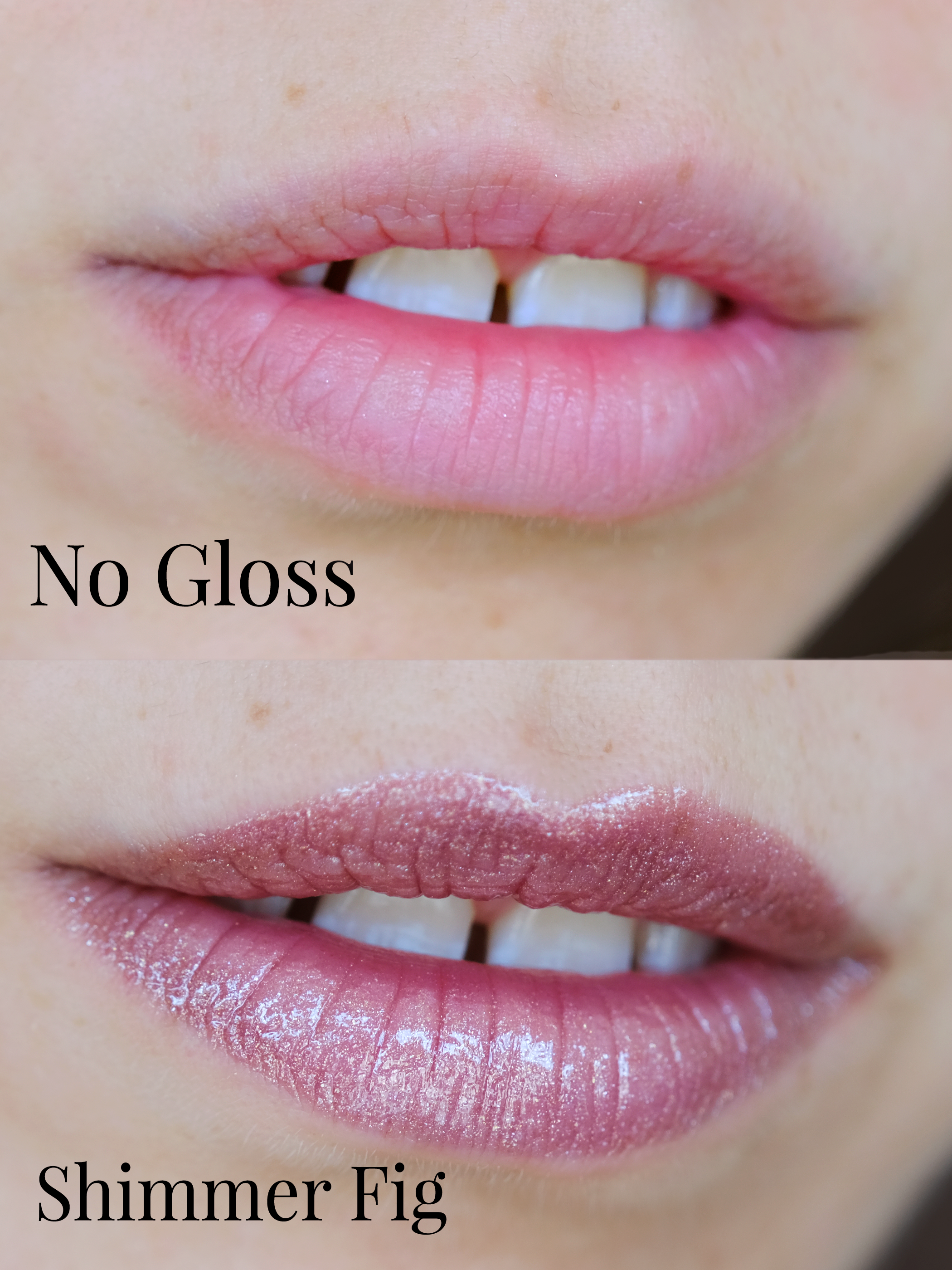Shimmer Fig Supple Glow Lip Gloss